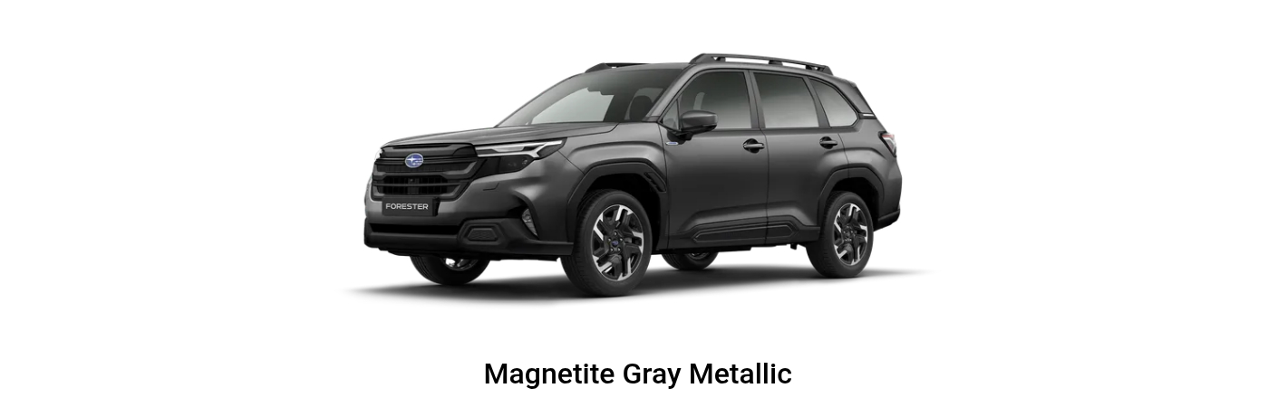 Magnetite Gray Metallic