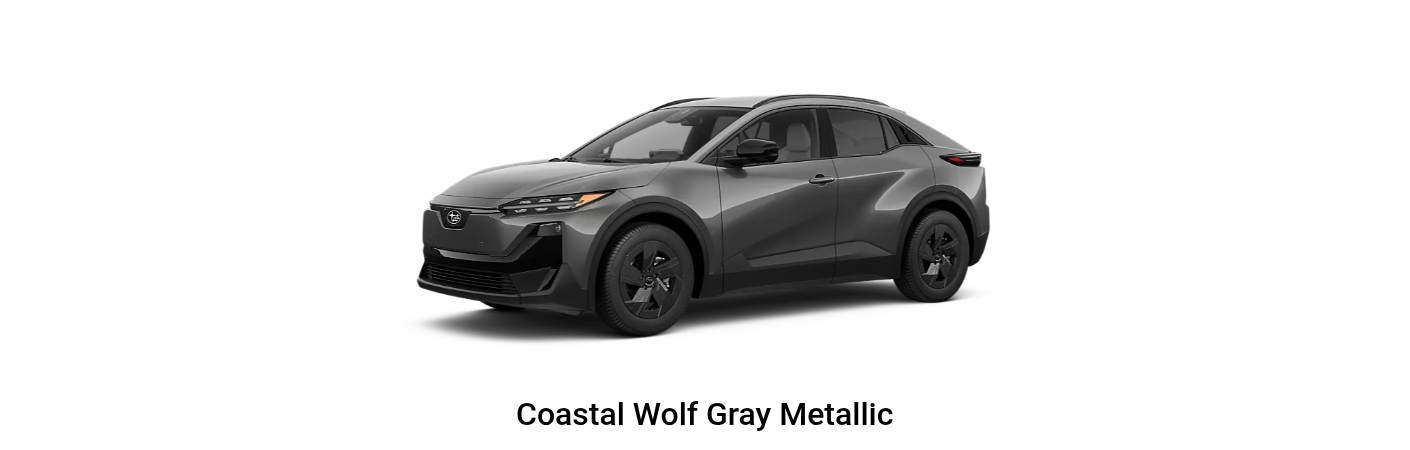 Coastal Wolf Gray Metallic