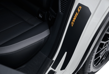 Ochranný kryt zadného vstupu